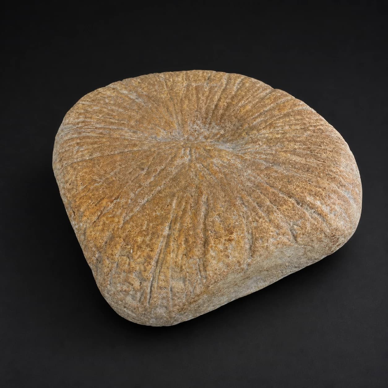 Маон с хмели-сунели — дополнительная фотография 2
